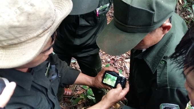 Đà Nẵng to supervise wildlife with camera traps - 1 Đà Nẵng to supervise wildlife with camera traps - 1