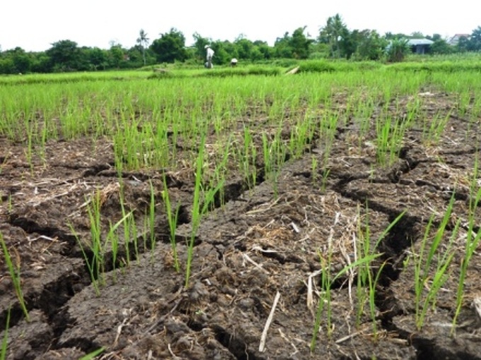 Vietnam calls for investment to battle agriculture- related climate change - 1 Vietnam calls for investment to battle agriculture- related climate change - 1