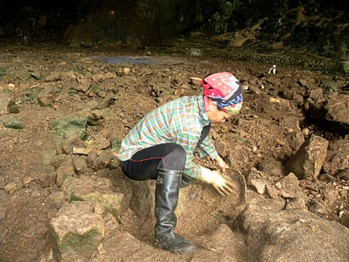 People make a living from bat guano collecting - 3