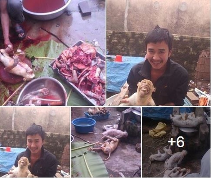 Monkey butcher questioned - 1 Monkey butcher questioned - 1