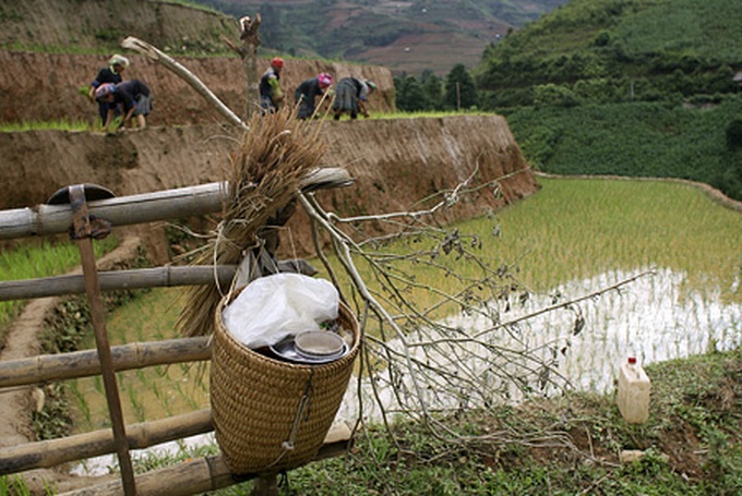 Life on the terraced mountain of Khau Pha - 6