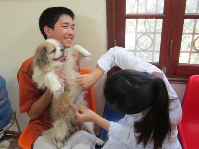 Young people set up dog and cat rescue team in Hanoi - 1