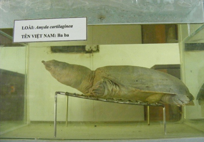 Museum highlights marine environment issues - 1