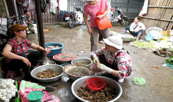 Wild foods become trend in Vietnam - 1