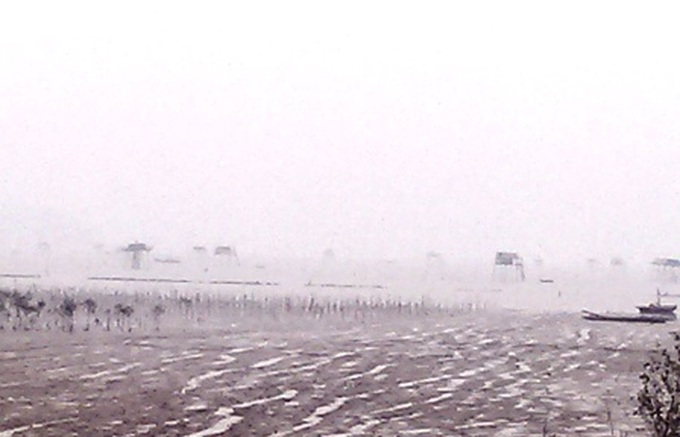 Thanh Hoa oyster farmers face huge losses - 1