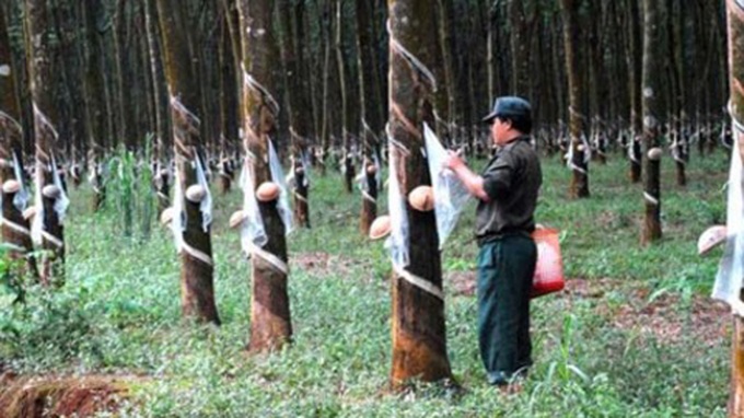 Vietnam among Cambodia’s top five investors - 1