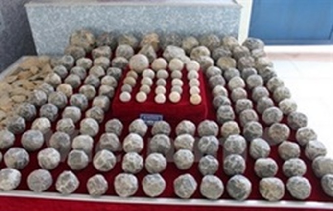 Large cluster of ancient stone shot discovered in Thanh Hoa - 1 Large cluster of ancient stone shot discovered in Thanh Hoa - 1