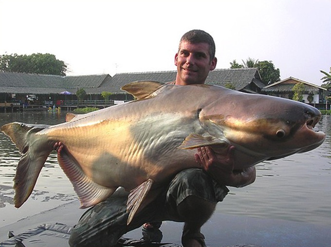 Mekong River reveals huge bounty - 5 Mekong River reveals huge bounty - 5