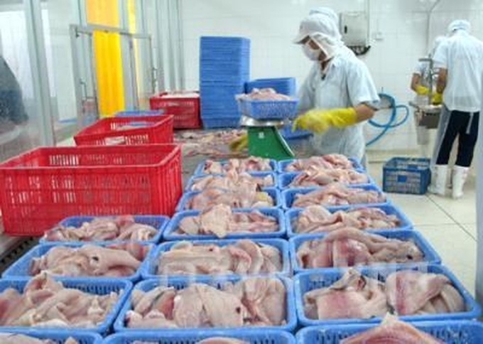US to early recognise Vietnam’s rules on catfish management - 1