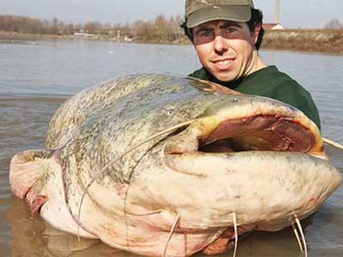 Mekong River reveals huge bounty - 7 Mekong River reveals huge bounty - 7