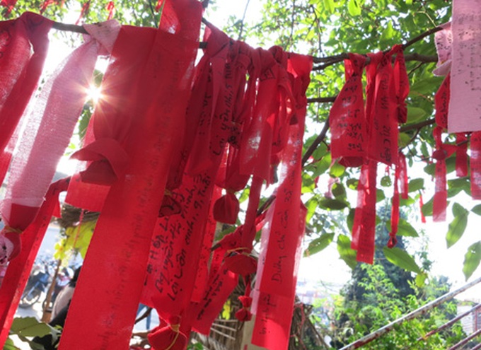 Visitors flock to pagodas for first full moon festival - 13