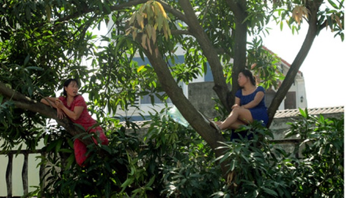 Women climb into a tree to protest its destruction - 1