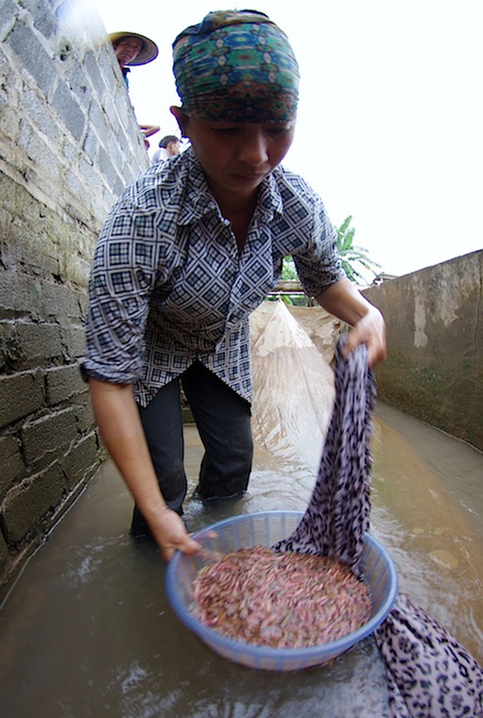 Sandworm season in Hai Duong - 6