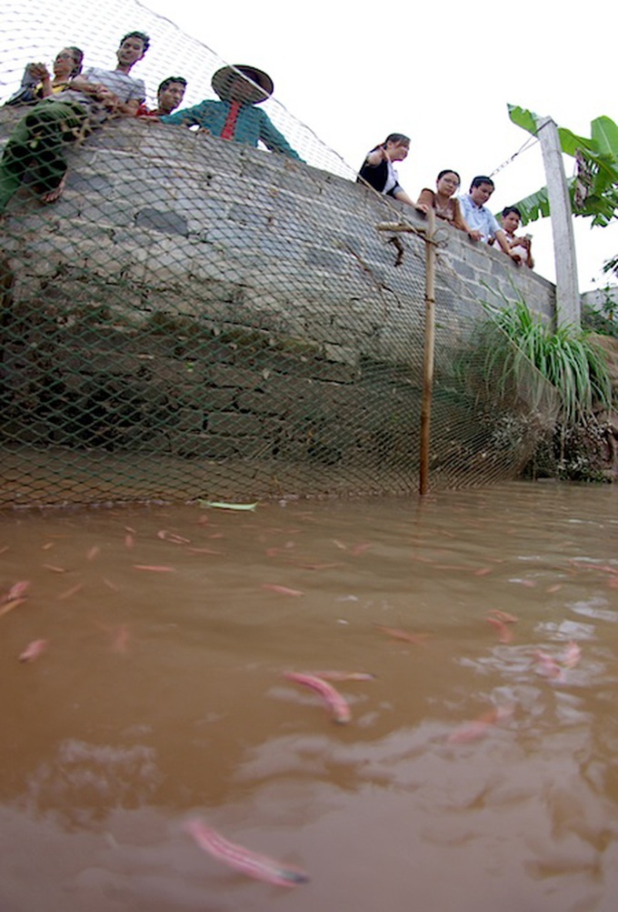 Sandworm season in Hai Duong - 3