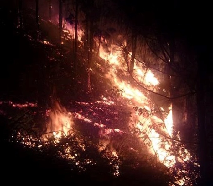 Authorities race to extinguish Nghe An forest fire - 1