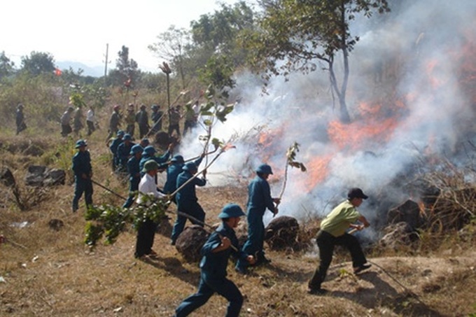 Minister urges preventive measures against forest fires - 1
