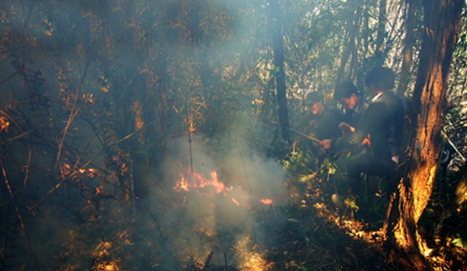 Urgent measures to prevent forest fires - 1 Urgent measures to prevent forest fires - 1