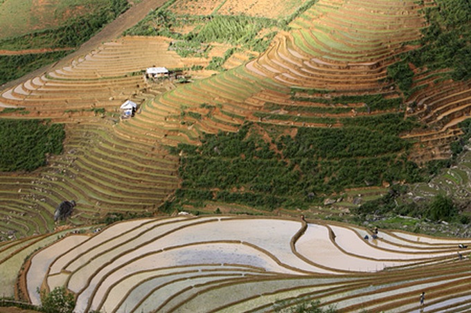 Life on the terraced mountain of Khau Pha - 14