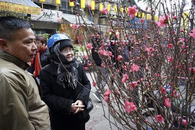 Flowers colour Hanoi's streets as Tet nears - 2 Flowers colour Hanoi's streets as Tet nears - 2