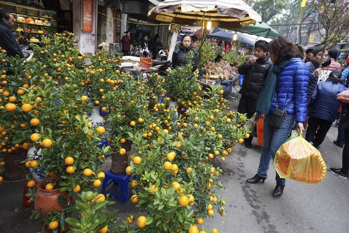 Flowers colour Hanoi's streets as Tet nears - 6 Flowers colour Hanoi's streets as Tet nears - 6