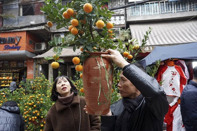 Flowers colour Hanoi's streets as Tet nears - 7 Flowers colour Hanoi's streets as Tet nears - 7