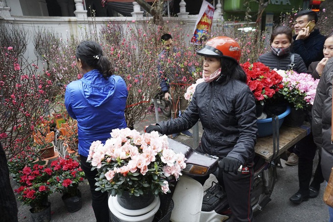Flowers colour Hanoi's streets as Tet nears - 9 Flowers colour Hanoi's streets as Tet nears - 9