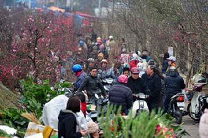 Hanoi to open 65 flower markets for Tet - 1