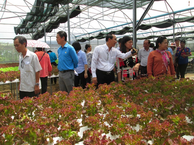 Industrial and agritourism still untapped in Vietnam - 1