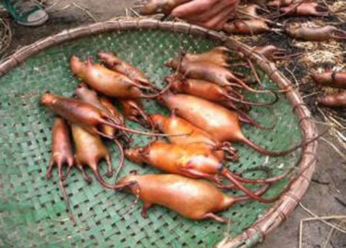 Rat market thrives in Hanoi’s outskirts - 1