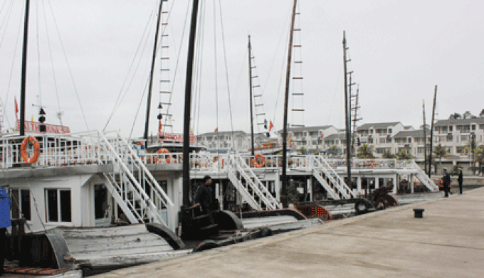 Ha Long Bay's tourism boats to move to new port - 1