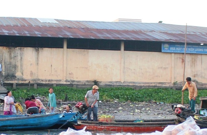 Serious pollution affects Cai Rang Floating Market - 6 Serious pollution affects Cai Rang Floating Market - 6