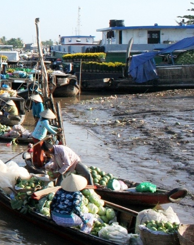 Serious pollution affects Cai Rang Floating Market - 7 Serious pollution affects Cai Rang Floating Market - 7