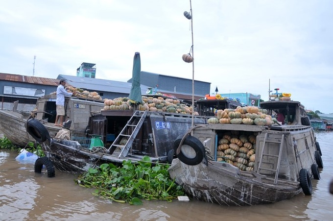 Serious pollution affects Cai Rang Floating Market - 5 Serious pollution affects Cai Rang Floating Market - 5