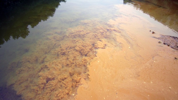 Untreated wastewater muddies Trai River - 6 Untreated wastewater muddies Trai River - 6