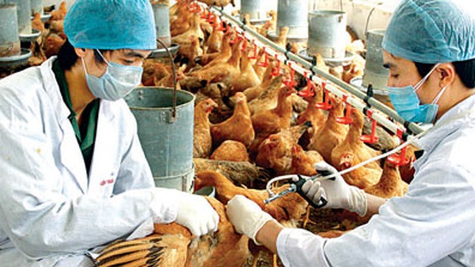 PM urges action against avian flu - 1