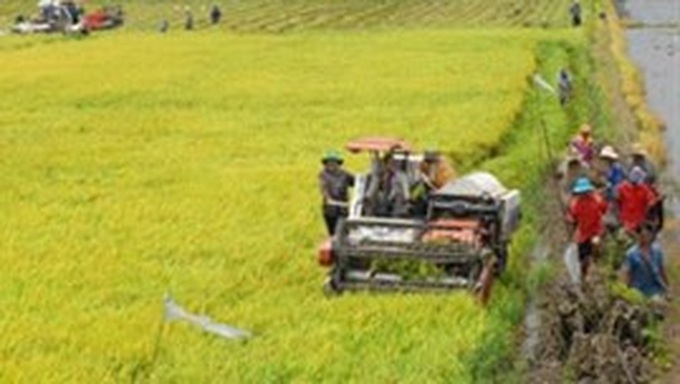 WB helps Mekong Delta tackle climate change - 1