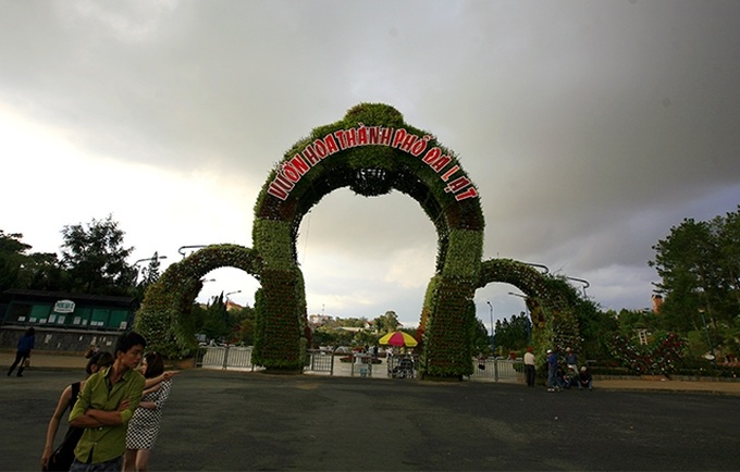 Da Lat to hold first cherry blossom festival - 1 Da Lat to hold first cherry blossom festival - 1