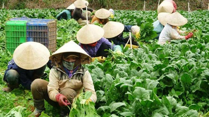 Economy slows, forcing re-think on ‘inclusive growth’ - 1 Economy slows, forcing re-think on ‘inclusive growth’ - 1