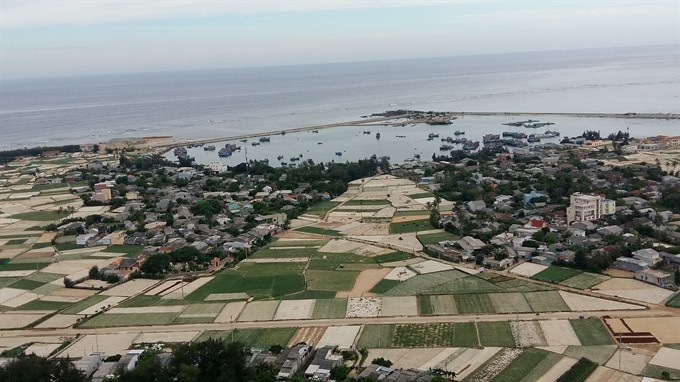 Night market to open in Lý Sơn Island - 1