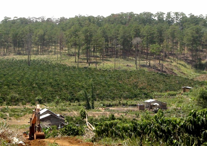 Forest protection law falls short - 1 Forest protection law falls short - 1