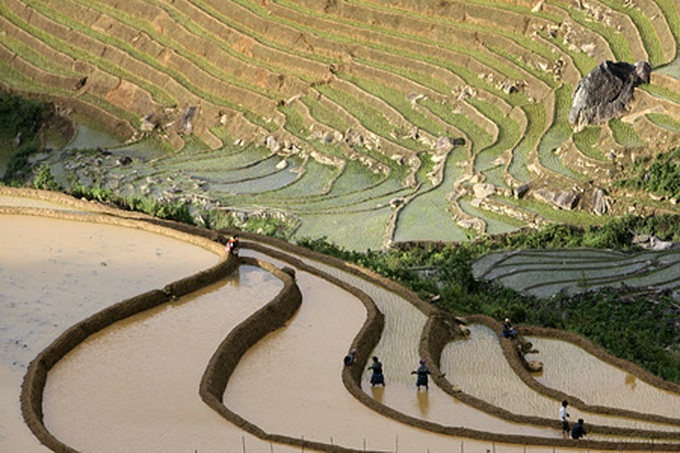 Life on the terraced mountain of Khau Pha - 2