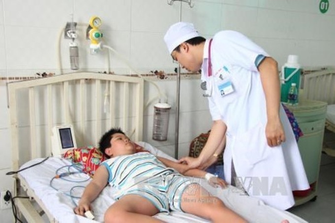 Dengue fever on the rise in Mekong Delta - 1