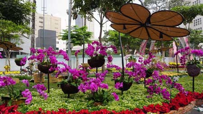 Flower Road opens in HCM City - 6