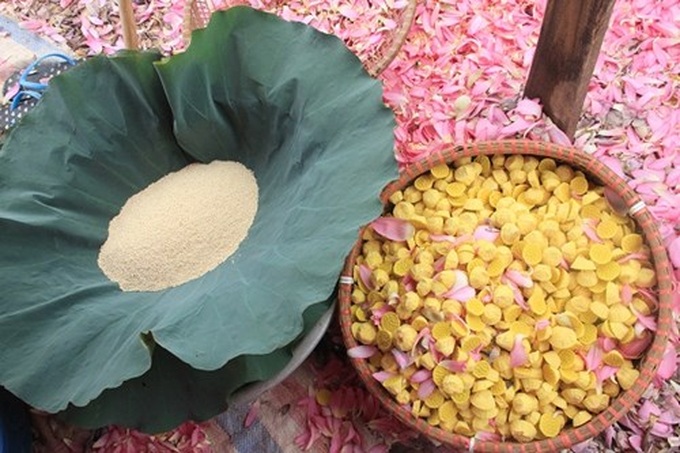 Hanoi’s lotus tea-making art - 15