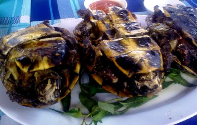 Rich tastes, strange 'delights' - 2 Rich tastes, strange 'delights' - 2