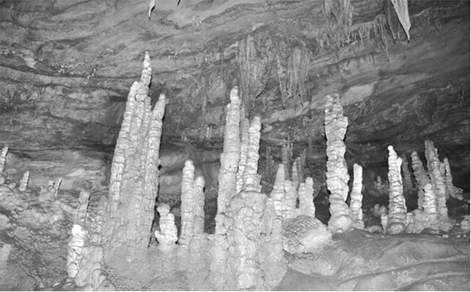 Exploring the nooks and crannies of Cao Bang's ethereal ‘Bat Cave' - 3