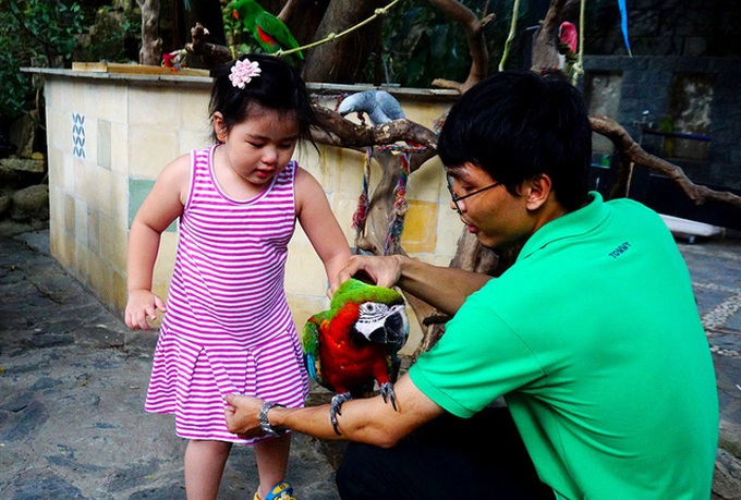 HCM City's unique parrot cafe - 2 HCM City's unique parrot cafe - 2