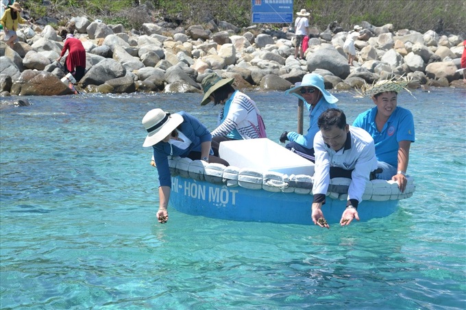 Fish and sea cucumbers released in Nha Trang Bay - 1 Fish and sea cucumbers released in Nha Trang Bay - 1