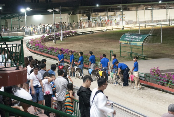 Dog races in Vung Tau City - 2 Dog races in Vung Tau City - 2