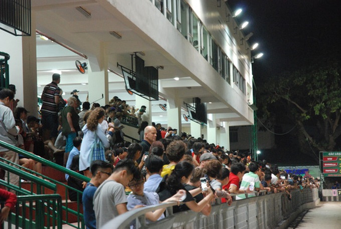 Dog races in Vung Tau City - 4 Dog races in Vung Tau City - 4